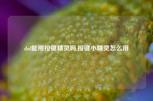 dnf能用按键精灵吗,按键小精灵怎么用