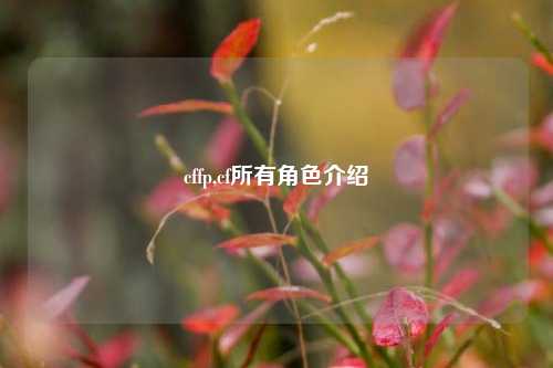 cffp,cf所有角色介绍