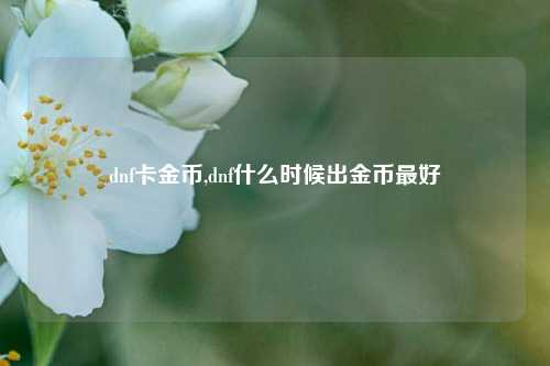 dnf卡金币,dnf什么时候出金币最好