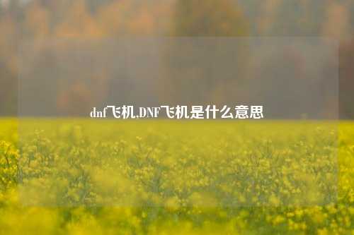 dnf飞机,DNF飞机是什么意思