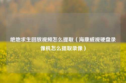 绝地求生回放视频怎么提取（海康威视硬盘录像机怎么提取录像）