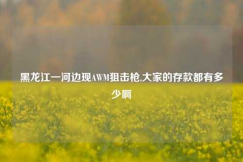 黑龙江一河边现AWM狙击枪,大家的存款都有多少啊