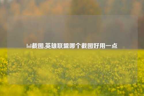 lol截图,英雄联盟哪个截图好用一点