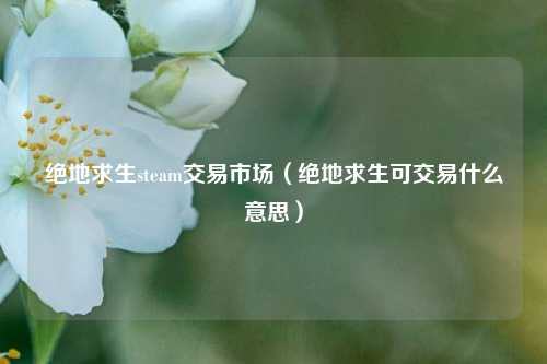 绝地求生steam交易市场（绝地求生可交易什么意思）