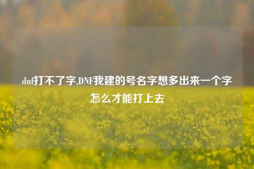 dnf打不了字,DNF我建的号名字想多出来一个字怎么才能打上去