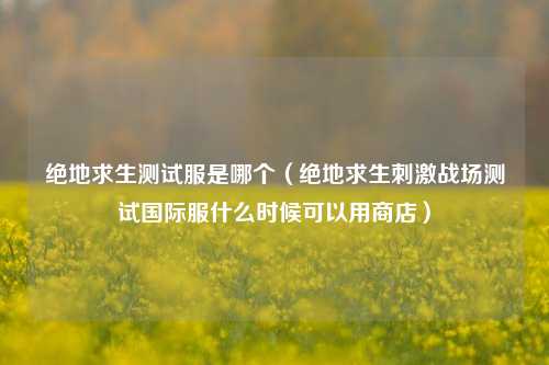 绝地求生测试服是哪个（绝地求生刺激战场测试国际服什么时候可以用商店）