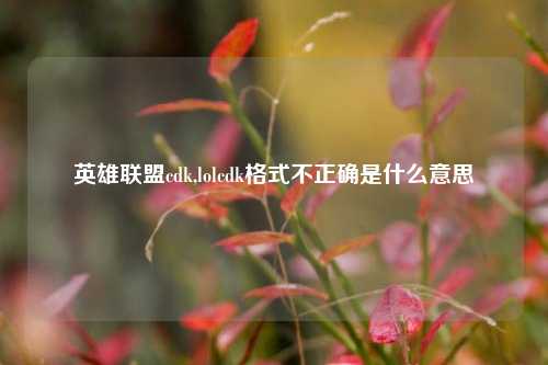 英雄联盟cdk,lolcdk格式不正确是什么意思