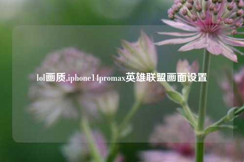 lol画质,iphone14promax英雄联盟画面设置