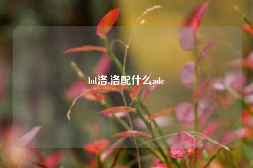 lol洛,洛配什么adc