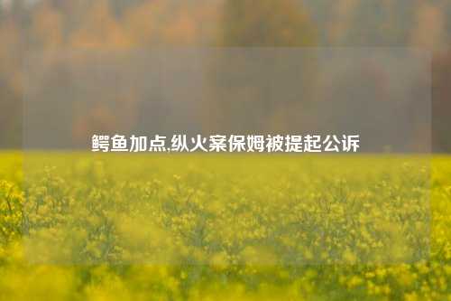 鳄鱼加点,纵火案保姆被提起公诉