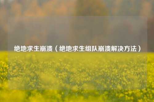 绝地求生崩溃（绝地求生组队崩溃解决方法）