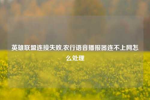 英雄联盟连接失败,农行语音播报器连不上网怎么处理