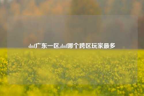 dnf广东一区,dnf哪个跨区玩家最多