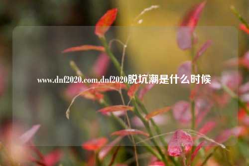 www.dnf2020.com,dnf2020脱坑潮是什么时候