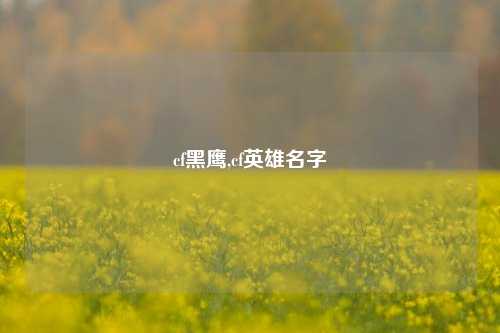 cf黑鹰,cf英雄名字