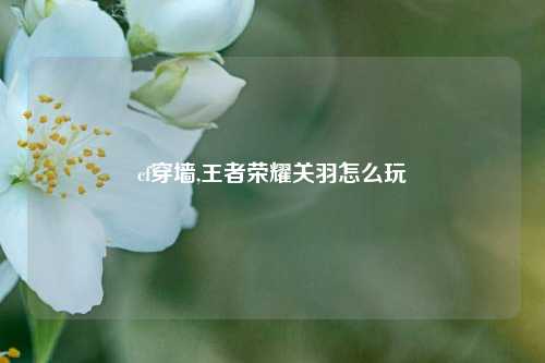 cf穿墙,王者荣耀关羽怎么玩