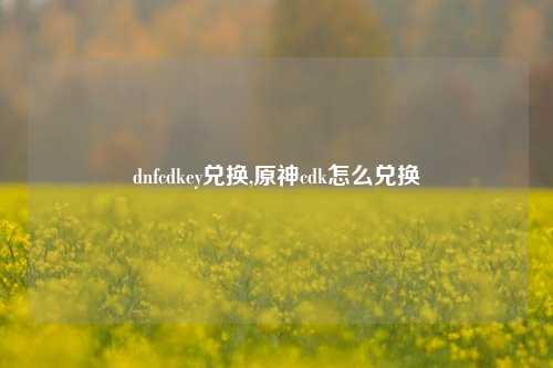 dnfcdkey兑换,原神cdk怎么兑换