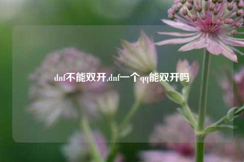 dnf不能双开,dnf一个qq能双开吗