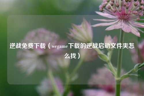 逆战免费下载（wegame下载的逆战启动文件夹怎么找）