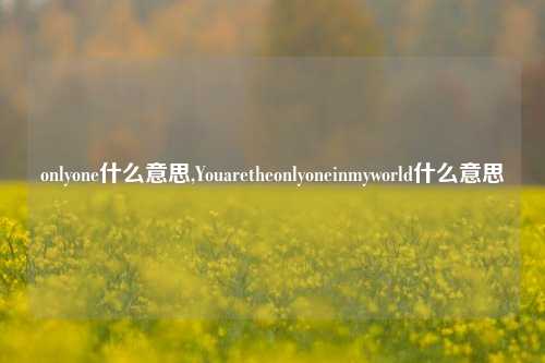 onlyone什么意思,Youaretheonlyoneinmyworld什么意思