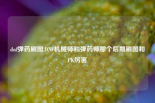 dnf弹药刷图,DNF机械师和弹药师那个后期刷图和PK厉害