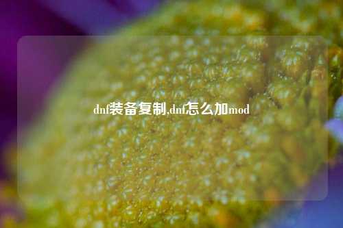 dnf装备复制,dnf怎么加mod