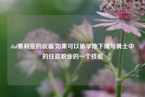 dnf赛利亚的祝福,如果可以偷学地下城与勇士中的任意职业的一个技能