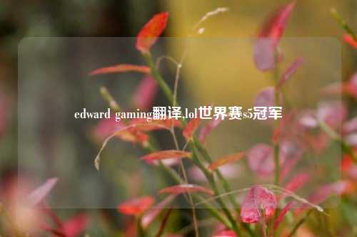 edward gaming翻译,lol世界赛s5冠军