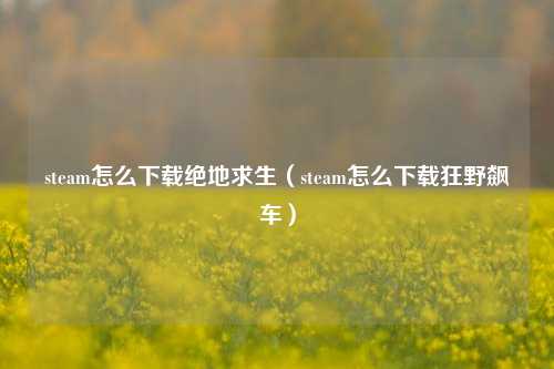 steam怎么下载绝地求生（steam怎么下载狂野飙车）