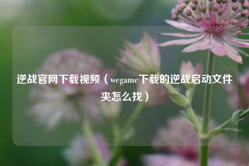 逆战官网下载视频（wegame下载的逆战启动文件夹怎么找）