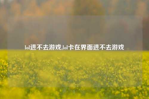 lol进不去游戏,lol卡在界面进不去游戏