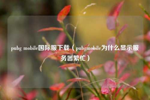 pubg mobile国际服下载（pubgmobile为什么显示服务器繁忙）