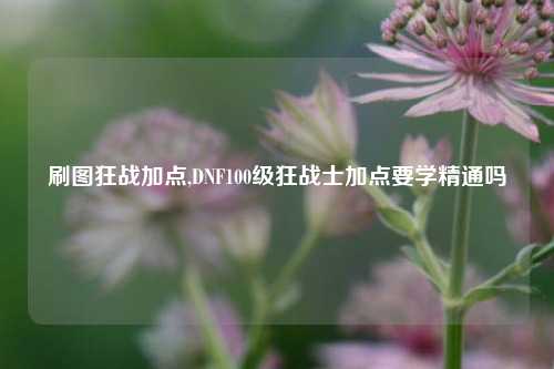 刷图狂战加点,DNF100级狂战士加点要学精通吗