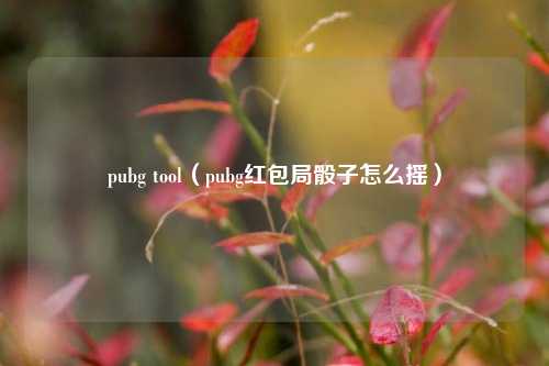 pubg tool（pubg红包局骰子怎么摇）