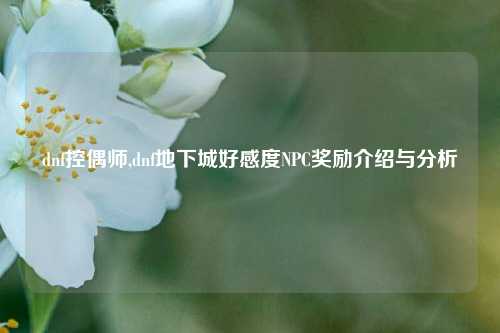 dnf控偶师,dnf地下城好感度NPC奖励介绍与分析