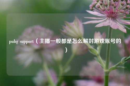 pubg support（主播一般都是怎么解封游戏账号的）