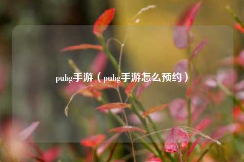 pubg手游（pubg手游怎么预约）