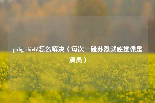 pubg shield怎么解决（每次一碰苏烈就感觉像是演员）