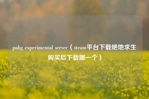 pubg experimental server（steam平台下载绝地求生购买后下载哪一个）