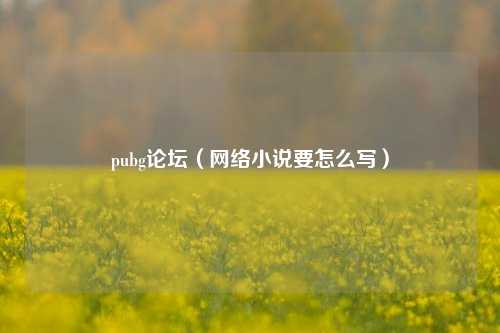 pubg论坛（网络小说要怎么写）