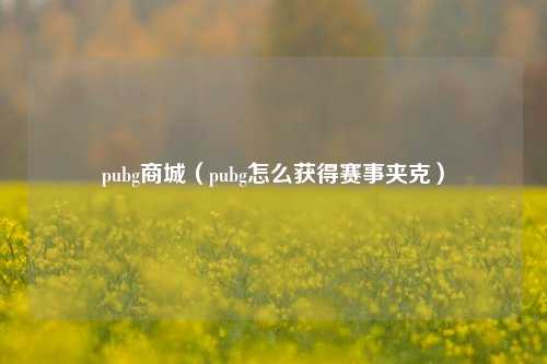 pubg商城（pubg怎么获得赛事夹克）