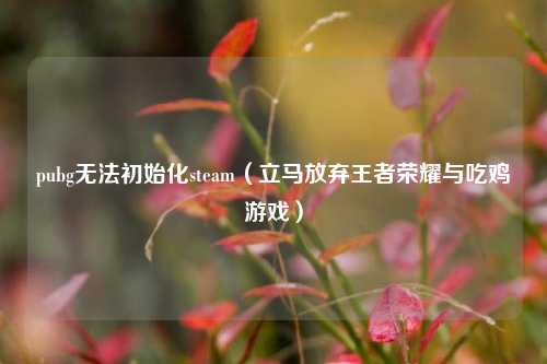 pubg无法初始化steam（立马放弃王者荣耀与吃鸡游戏）