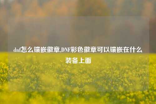 dnf怎么镶嵌徽章,DNF彩色徽章可以镶嵌在什么装备上面