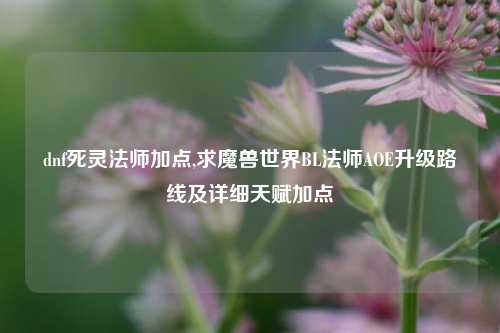 dnf死灵法师加点,求魔兽世界BL法师AOE升级路线及详细天赋加点