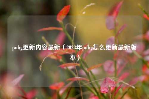 pubg更新内容最新（2023年pubg怎么更新最新版本）