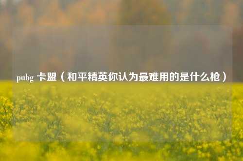 pubg 卡盟（和平精英你认为最难用的是什么枪）