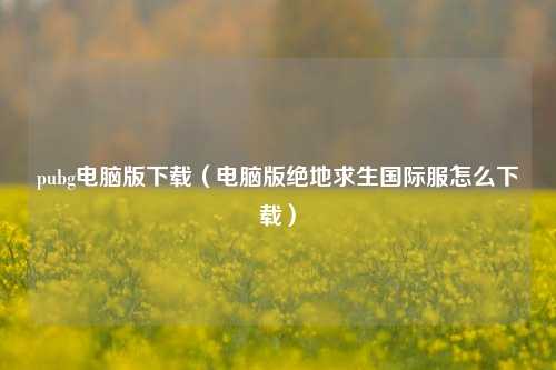 pubg电脑版下载（电脑版绝地求生国际服怎么下载）