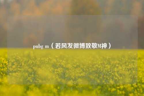 pubg m（若风发微博致敬M神）