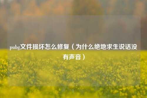 pubg文件损坏怎么修复（为什么绝地求生说话没有声音）