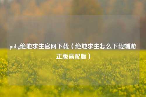 pubg绝地求生官网下载（绝地求生怎么下载端游正版高配版）